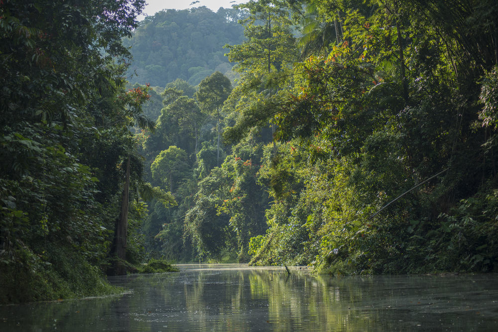 Belum Rainforest Resort Gerik Εξωτερικό φωτογραφία